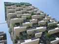 Bosco Verticale 5