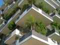 Bosco Verticale 6