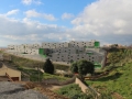 loma colmenar 3.jpg