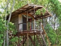 treehouse5.jpg